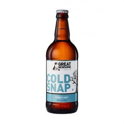 Great Newsome Cold Snap 500ml